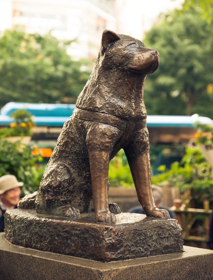 Hachiko