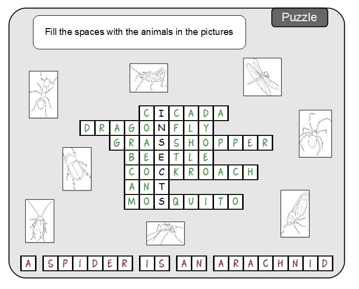 Unit 11 Puzzle answer