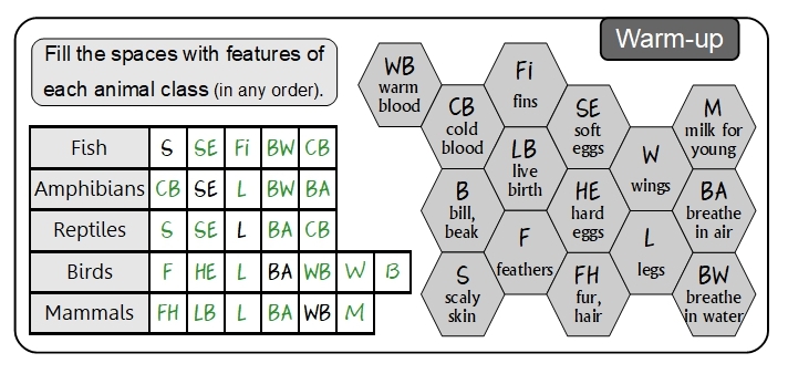 Unit 4 Warm-up answers