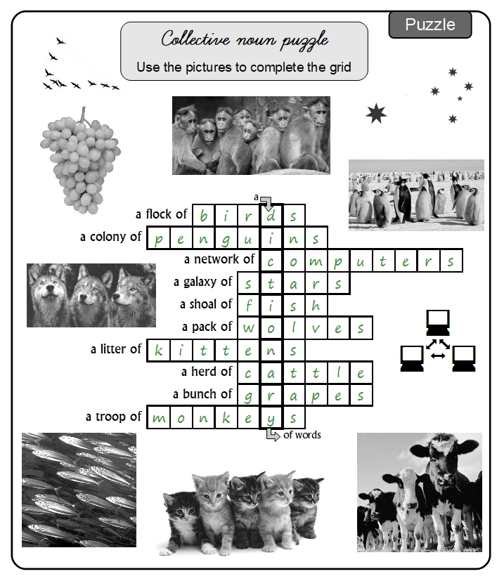 Unit 14 Puzzle answer
