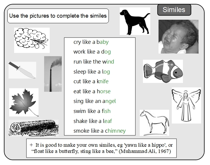 Unit 18 Similes answer