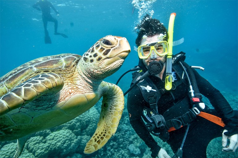 Diving at the Great Barrier Reef
