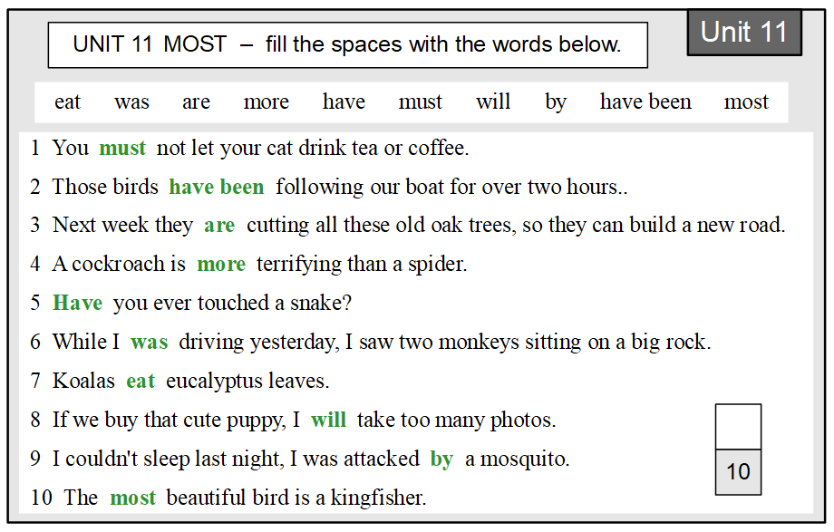 Revision Unit 11 answer